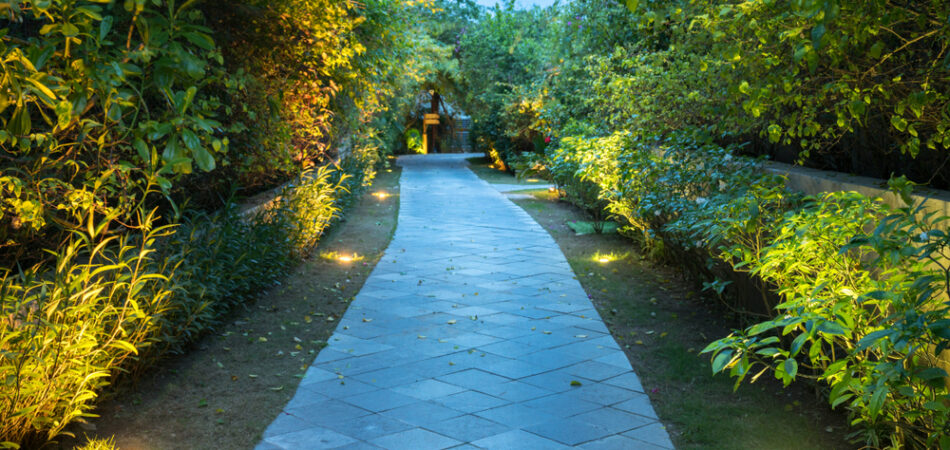 Garden,path,in,resort,with,warm,light,and,trees,on
